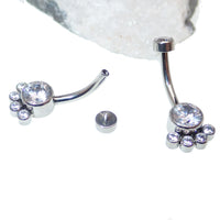 Paw print clear CZ belly bar body jewelry by Body Clickers, 14g, featuring a sparkling paw print design on a clear belly bar.