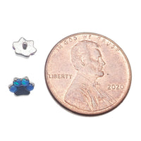 Pacific blue opal paw dermal top body jewelry by Body Clickers, featuring a 14g dermal piercing top with a paw design.