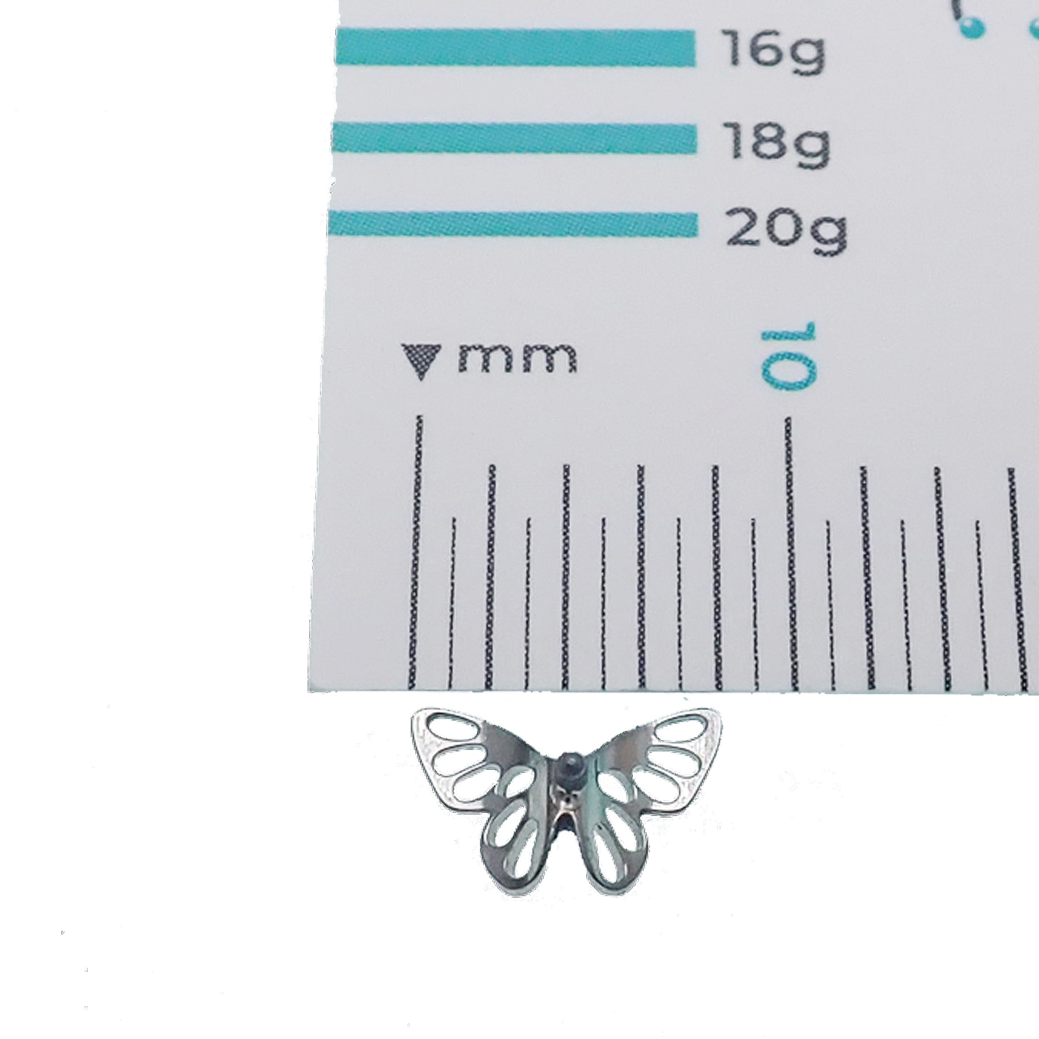 Titanium butterfly flatback earrings in 14g, 16g, 18g by Body Clickers, featuring a sleek butterfly design for pierced ears.