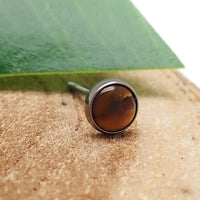 Pair of Tiger's Eye titanium earrings by Body Clickers, featuring polished gemstone accents and sleek earring design.