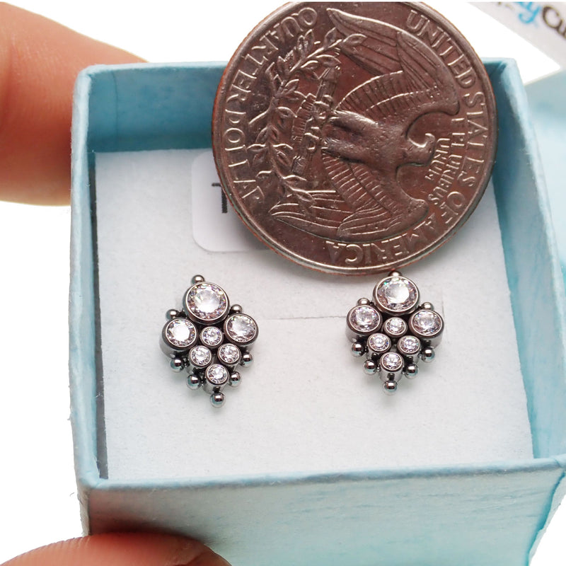 Titanium Earrings Beaded CZ cluster
