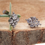 Titanium Earrings Beaded CZ cluster