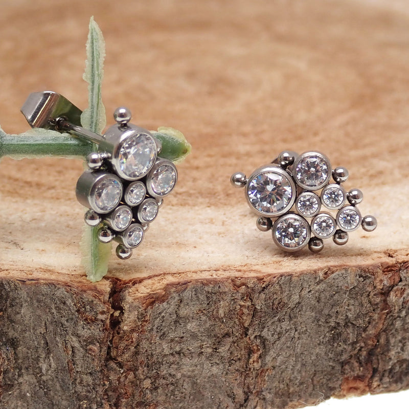 Titanium Earrings Beaded CZ cluster