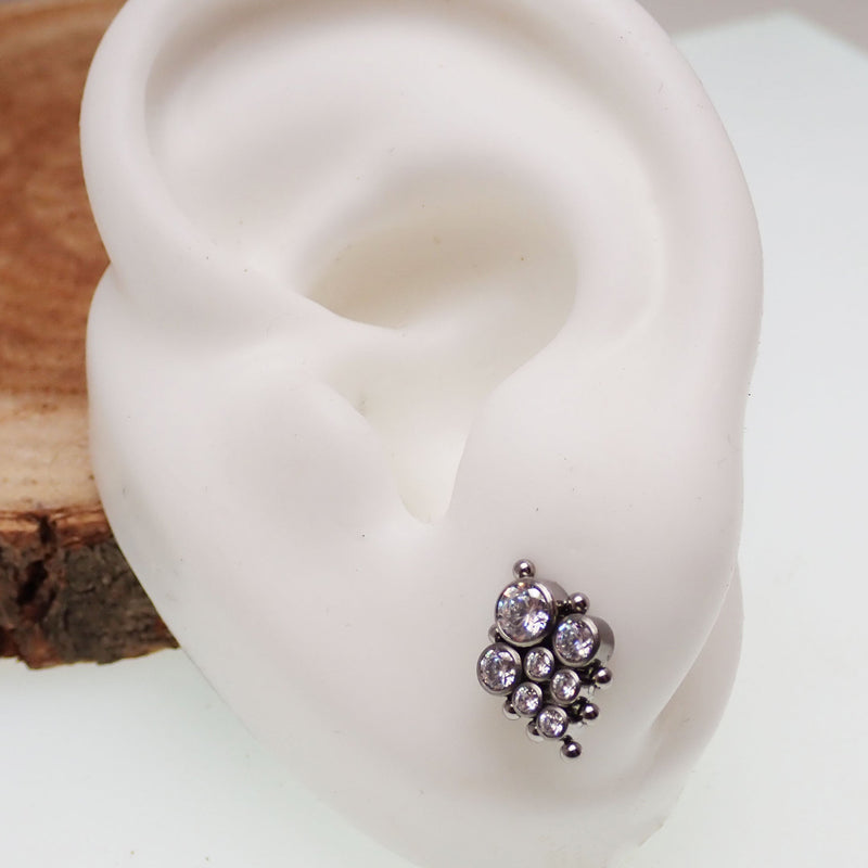 Titanium Earrings Beaded CZ cluster