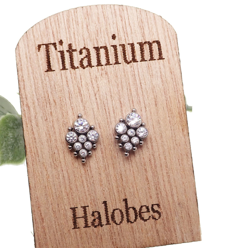 Titanium Earrings Beaded CZ cluster