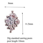 Titanium Earrings Beaded CZ cluster