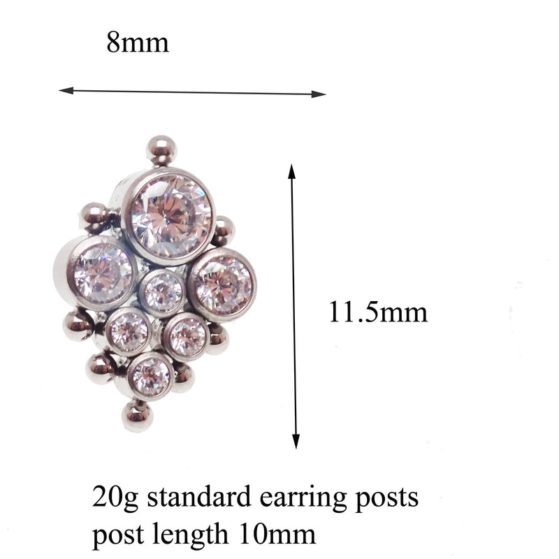 Titanium Earrings Beaded CZ cluster