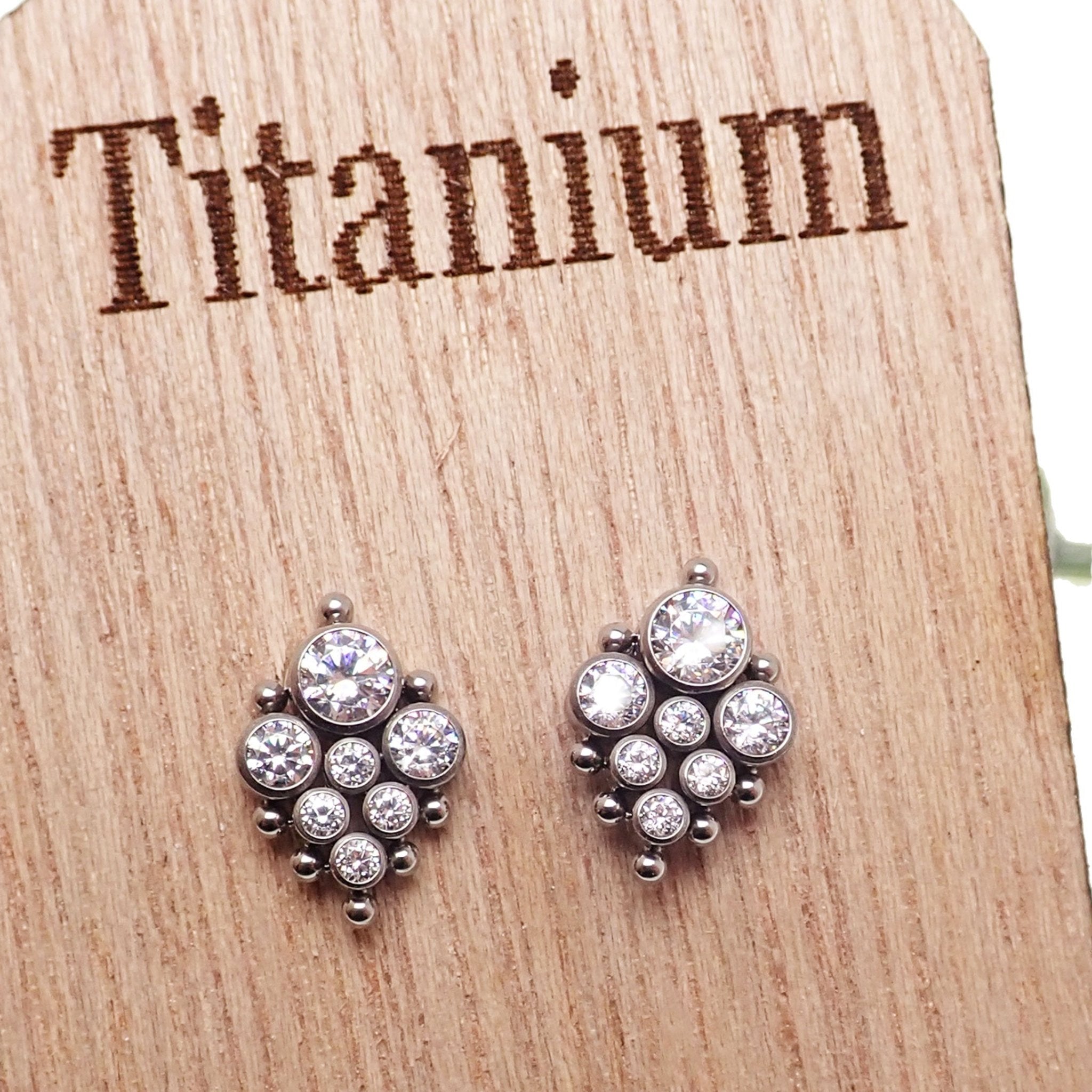 Pair of HALOBES titanium CZ implant earrings in 20g with a sleek, modern design for pierced ears.