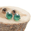 Implant Titanium Natural Stone Earrings - Body Clickers Body Jewelry