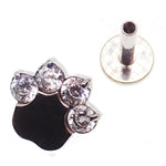 Paw Print Flat Back Labret 14g, 16g, 18g