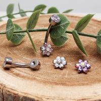 Titanium Interchangeable Belly Ring 14g