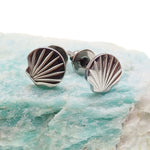 Shell Titanium Earrings