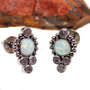 Titanium Opal Beaded Earrings